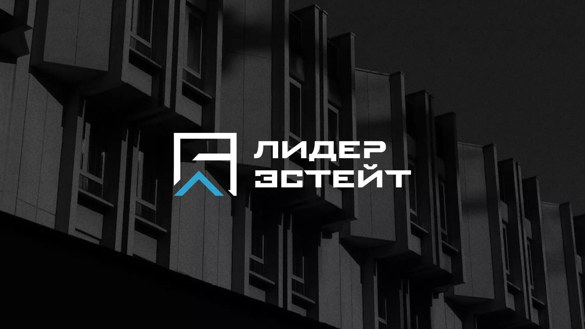 Разработка логотипа агентства недвижимости «Лидер Эстейт» в Назарово