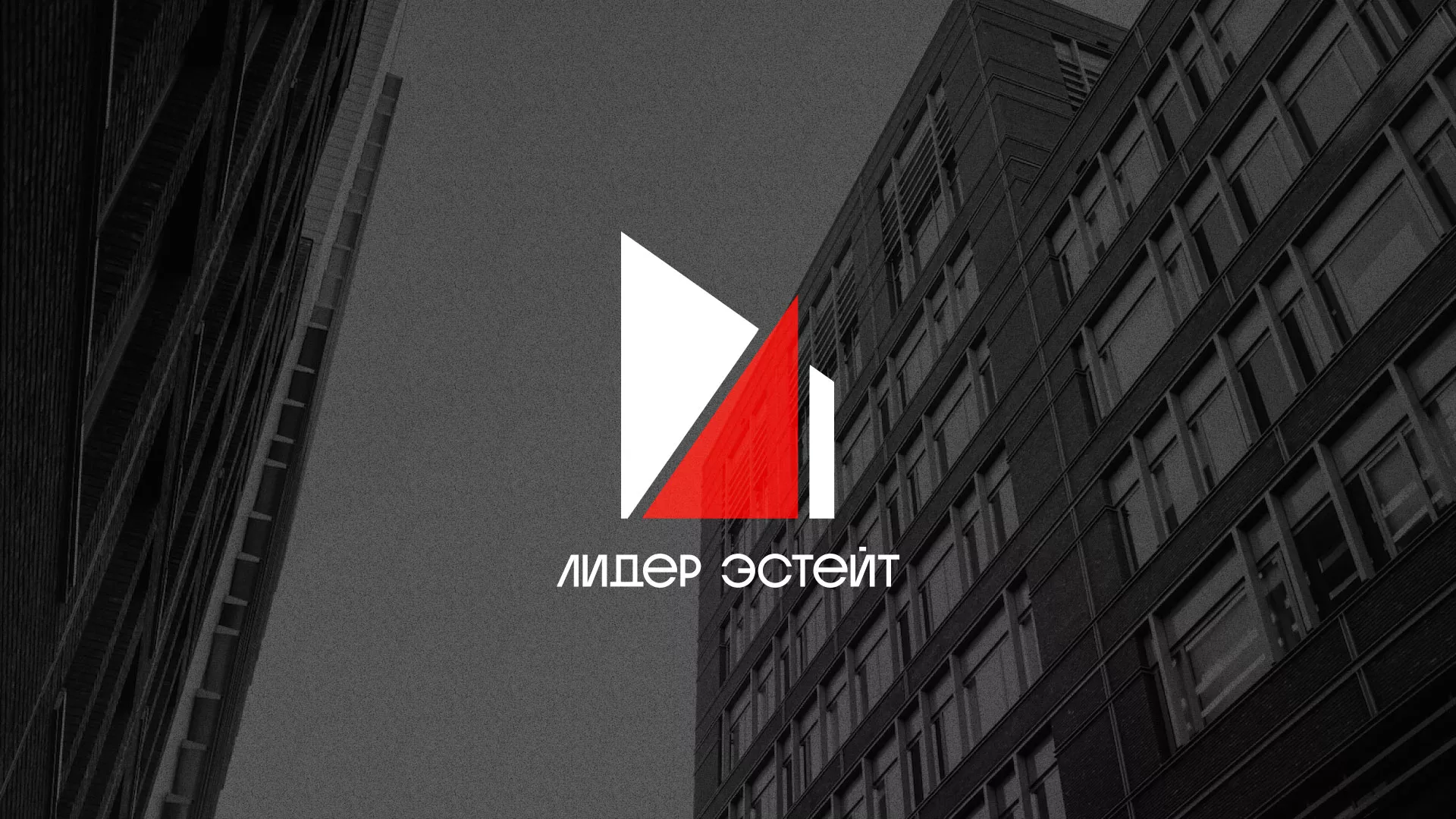 Сделали логотип для агентства недвижимости «Лидер Эстейт» в Назарово